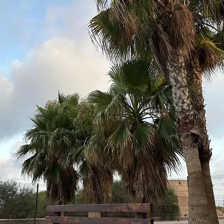 Piso Cruise Experience