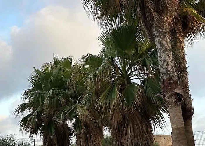 Piso Cruise Experience