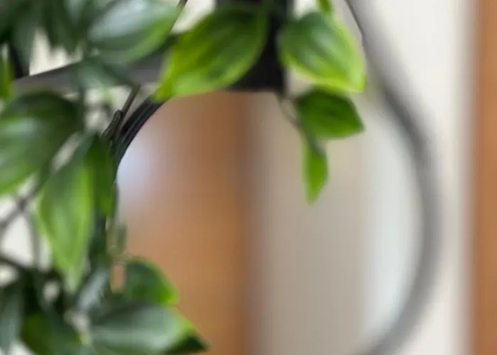 Piso Cruise Experience Appartamento