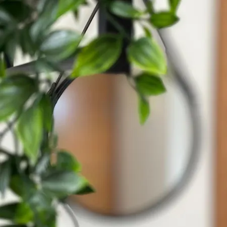 Piso Cruise Experience Apartamento